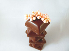 Some Delicious Chocolates