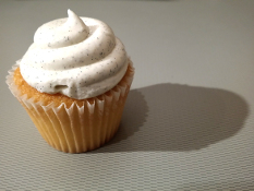 Vanilla Bean