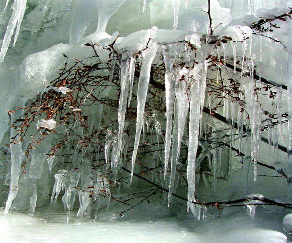 Melting Arctic